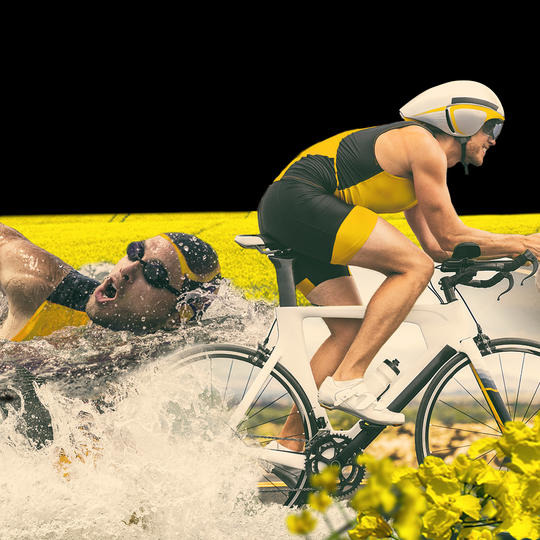 TRIATHLON - TRIUNGHIUL DE ÎNCREDERE PENTRU CULTURA DE RAPIȚĂ