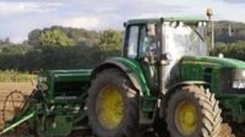 Instructiuni de cultivare a rapitei de toamna