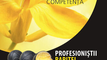 Rapool : Calitate, Ameliorare, Consultanta, Productie si Competenta