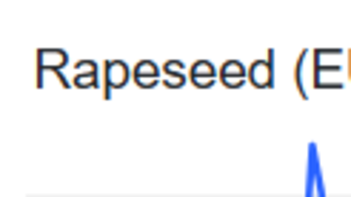 Actualizare și previziuni de piață 2026/2027 pentru rapiță și canola