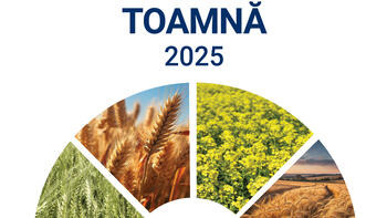 Catalog toamnă 2025