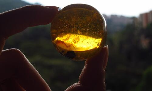 BERNSTEIN - BERNSTEIN BIJUTERIA HIBRIZILOR DE RAPIȚĂ!