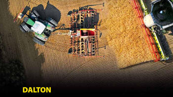 Catalog rapiţă 2019