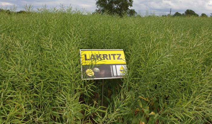LAkRITZ WOSR
