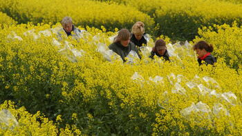 Inovare prin ameliorare