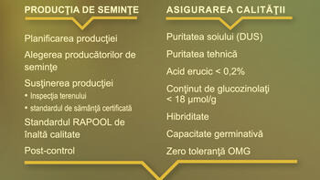 Dedicaţi calităţii