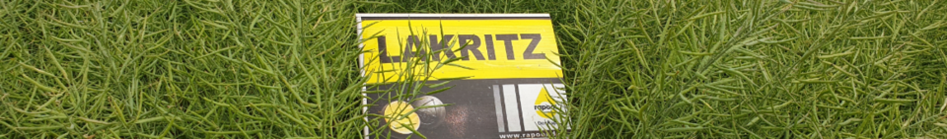 LAKRITZ - Campionul hibrizilor de rapită de primăvară