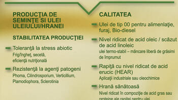 Ameliorare prin inovare