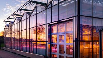 SAATEN UNION ROMANIA ŞI RAPOOL-RING privesc cu încredere spre viitorul ameliorării rapiţei din Europa